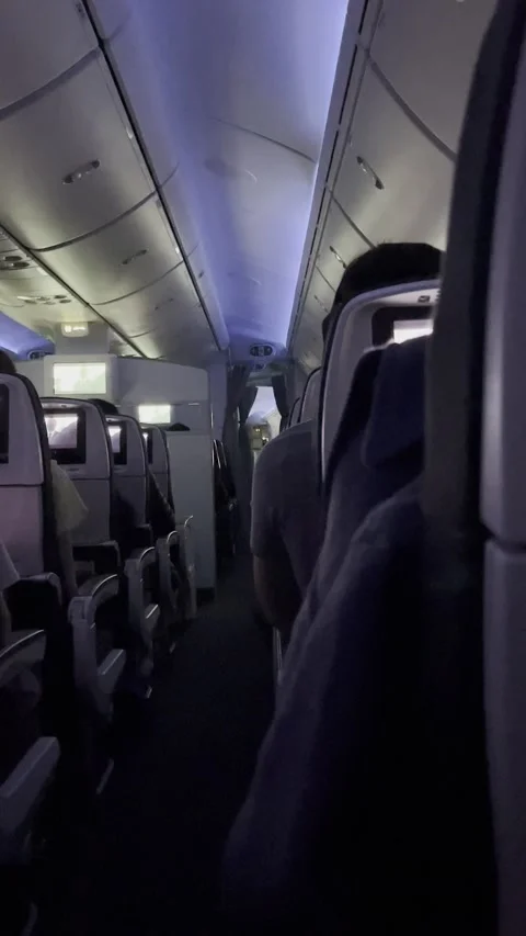 Inside the plane Stock Footage 165462065