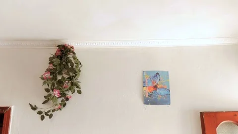 Inside a poor house in Shkodër, Albania, wall Stock Footage 84678778