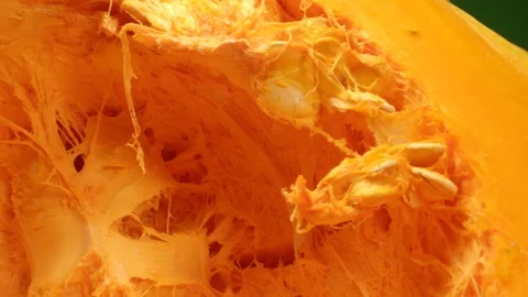 Inside of Pumpkin in Extreme Close Up Stock Footage 126770203