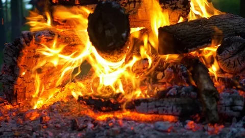 Inside of Raging Campfire and Logs Video stock 85183116