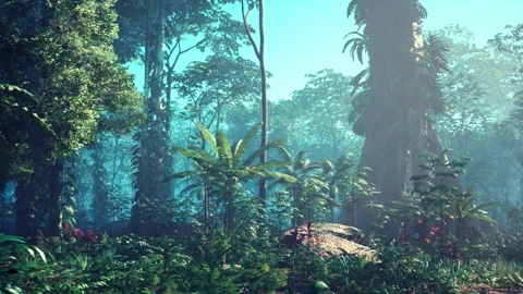 Inside a rainforest covered in bright green moss Video stock 236487745