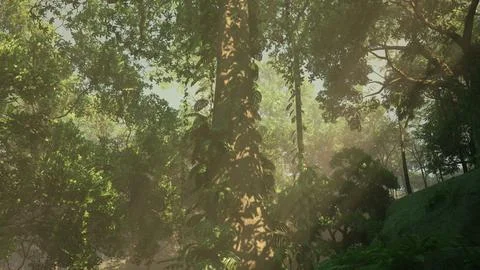 Inside a rainforest covered in bright green moss Stock Illustration