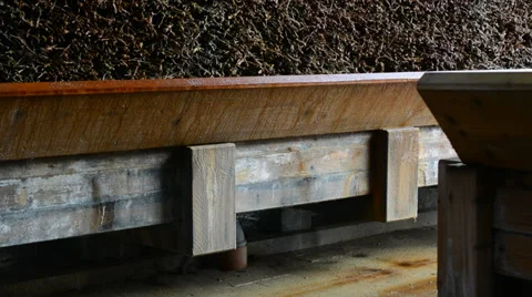 Inside a Saline Stock Footage 39828590