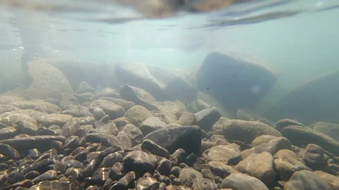 Inside shallow river with rocky bottom and muddy water. Below water surface Stock Footage 145300155