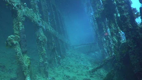 Inside Ship Wreck Underwater Red Sea Egypt Stock Footage 102892637