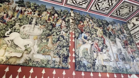 Inside Stirling Castle Stock Footage 310914509