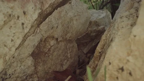 Inside a stone in the woods Video stock 231629335