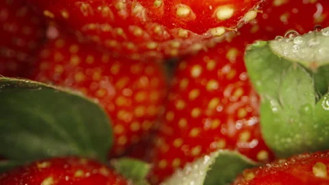 Inside the strawberries. Camera slides through strawberries, macro photography Stock Footage 233727198