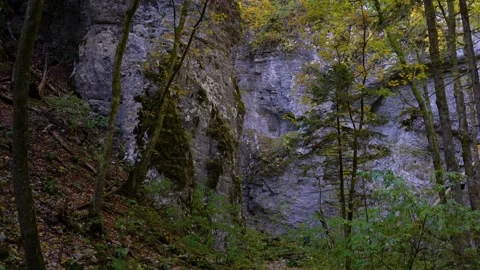 Inside stunning limestone rock formations Stock Footage 167586904