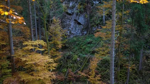Inside stunning limestone rock formations Stock Footage 167588487