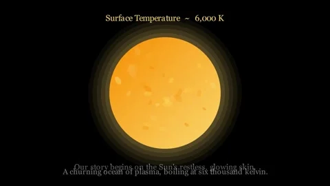 Inside The Sun - Where new elements are born 動画素材 338612656