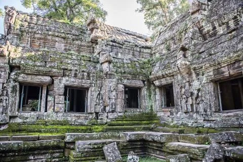 Inside Ta Prohm Stock Photos