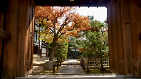 Inside temple with maple tree foliage japan Stock Footage 100708540
