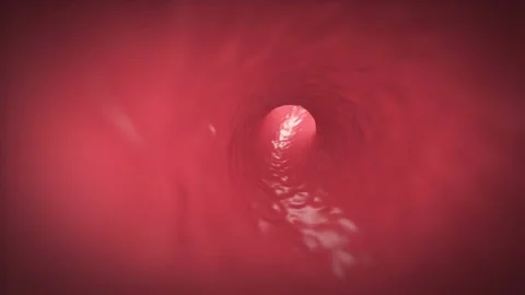 Inside Through Vein 4K Loop Animation Vídeos de archivo 169110381