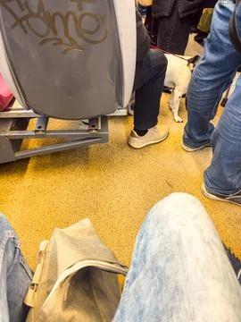 Inside The Tram 写真素材