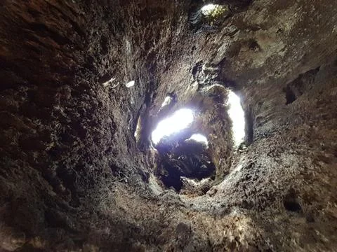 Inside of a tree trunk Stock Photos
