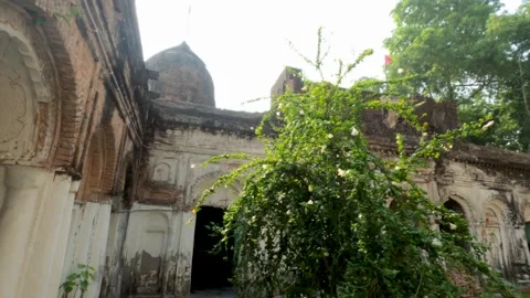 Inside tree view Balihar Rajbari which is built during era of Mughal emperor Stock Footage 299832758