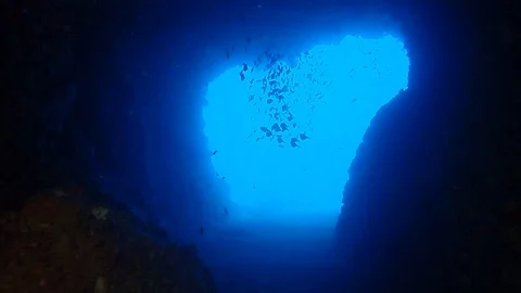 Inside the tunnel Stock Footage 112037334