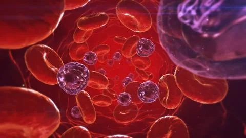 Inside The Vascular System Stock Photos