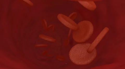 Inside a vein with blood cells Stock Footage 40796989