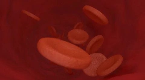Inside a vein with blood cells Stock Footage 40797067