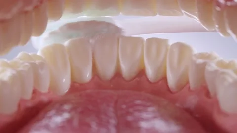 Inside view of brushing teeth 25 fps Stock Footage 139688567