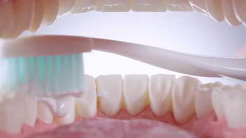 Inside view of brushing teeth Stock Footage 139688104
