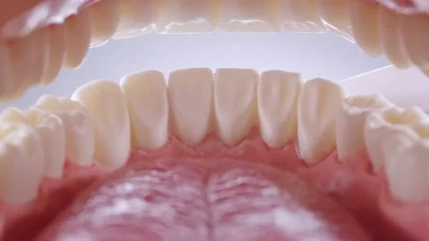 Inside view of brushing teeth Stock Footage 139688245
