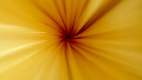 Inside view of a bunch of spaghetti. Top view. Видео 148468374