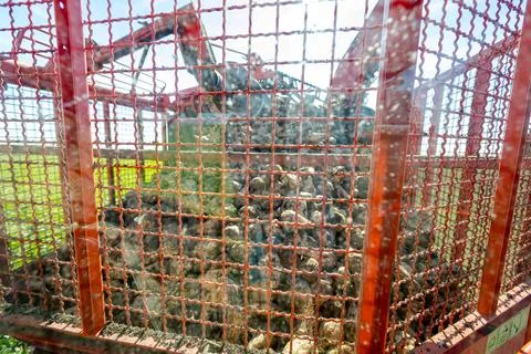 Inside view from cabin of agricultural machine, beet loader Stock Photos