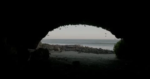 Inside view of fruit bat cave with ocean view in Bali Stock Footage 243693605