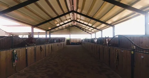 Inside view or horse stallion barn ranch. Aerial dolly shot at daytime in horses Stock Footage 140382662