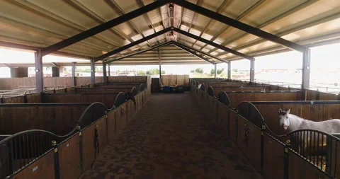 Inside view or horse stallion barn ranch. Aerial dolly shot at daytime in horses Stock Footage 140383061
