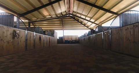 Inside view or horse stallion barn ranch. Aerial dolly shot at daytime in horses Stock Footage 140383137
