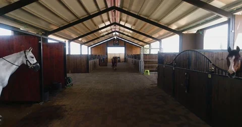 Inside view or horse stallion barn ranch. Aerial dolly shot at daytime in horses Stock Footage 140383484