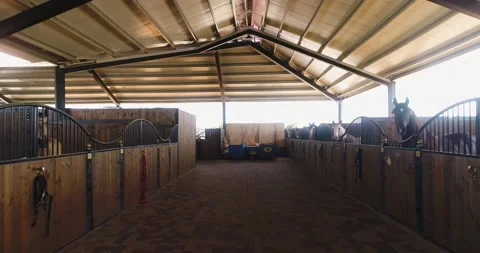 Inside view or horse stallion barn ranch. Aerial dolly shot at daytime in horses Stock Footage 140383610