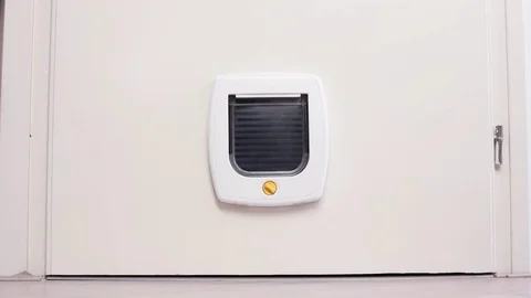 Inside view of a regular white cat flap, flap closed Stock Footage 70041244