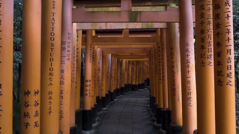 Inside view of Torii Gates Stock Footage 79402213