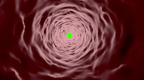 Inside view of vein. Fly animation. 3d render Stock Footage 56451951