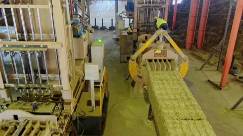 Inside a warehouse machinery process food for the industry wheat, grain, Video stock 198890339