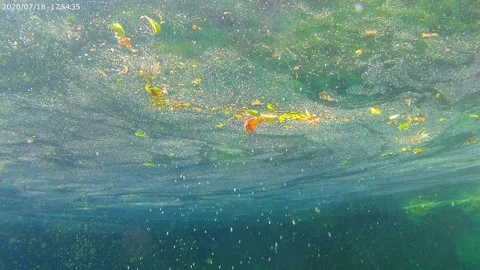 Inside the water Stock Footage 226676960