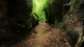 Inside a wet narrow gorge between tropic jungle mountain rocks in Bali 4k or 4k+ Resolution