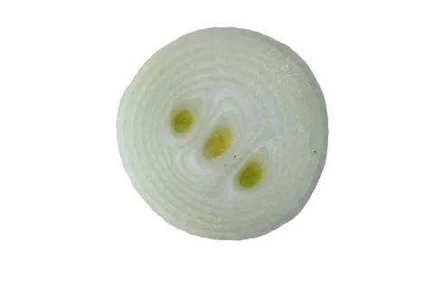 Inside white onion Stock Photos