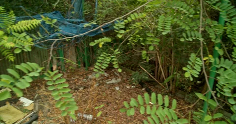 Inside Yard of Abandoned, Dilapidated House DCI 4K Stock Footage 202291209