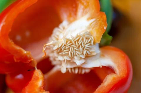 Insides of red bell pepper macro detail Stock Photos