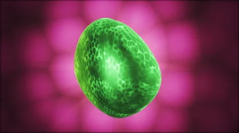 Inside.Seamless loop Stock Footage 46320688