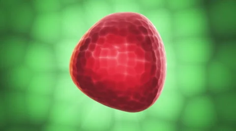 Inside.Seamless loop Stock Footage 46423436