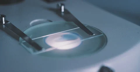 Inspect  under a microscope 库存影片 169246439