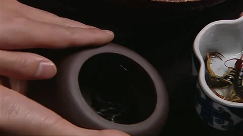 Inspecting the animals stored in the container Stock Footage 276516518