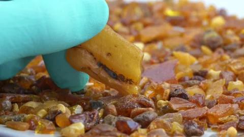 Inspecting Collection of Raw Amber Stone in Protective Gloves Macro Stock Footage 150996490